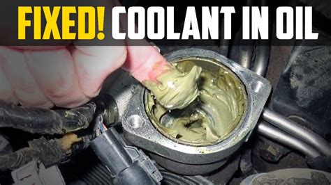 if the engine coolant leaks into the engine oil, then engine oil|Coolant In Oil: 6 Causes, 3 Symptoms & Cost to Fix